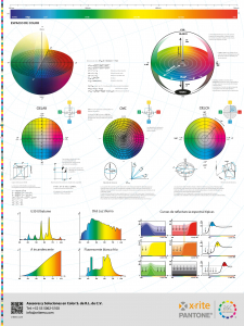 Poster de Color